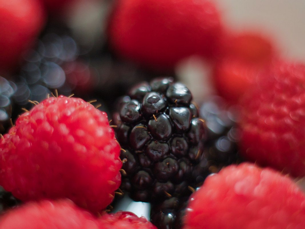 Različite vrste bobičastog voća - maline, borovnice i jagode